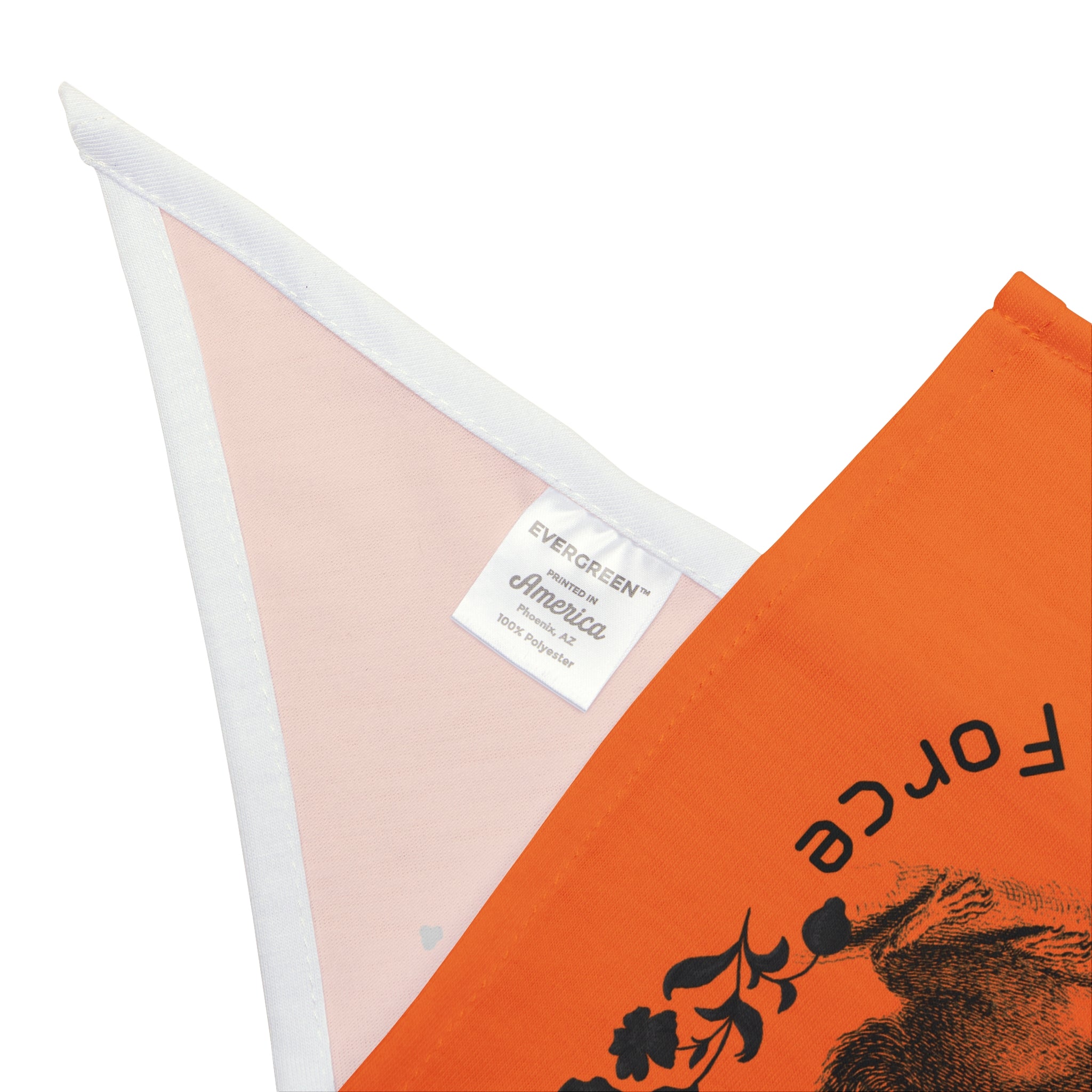 Anti-Squirrel Task Force