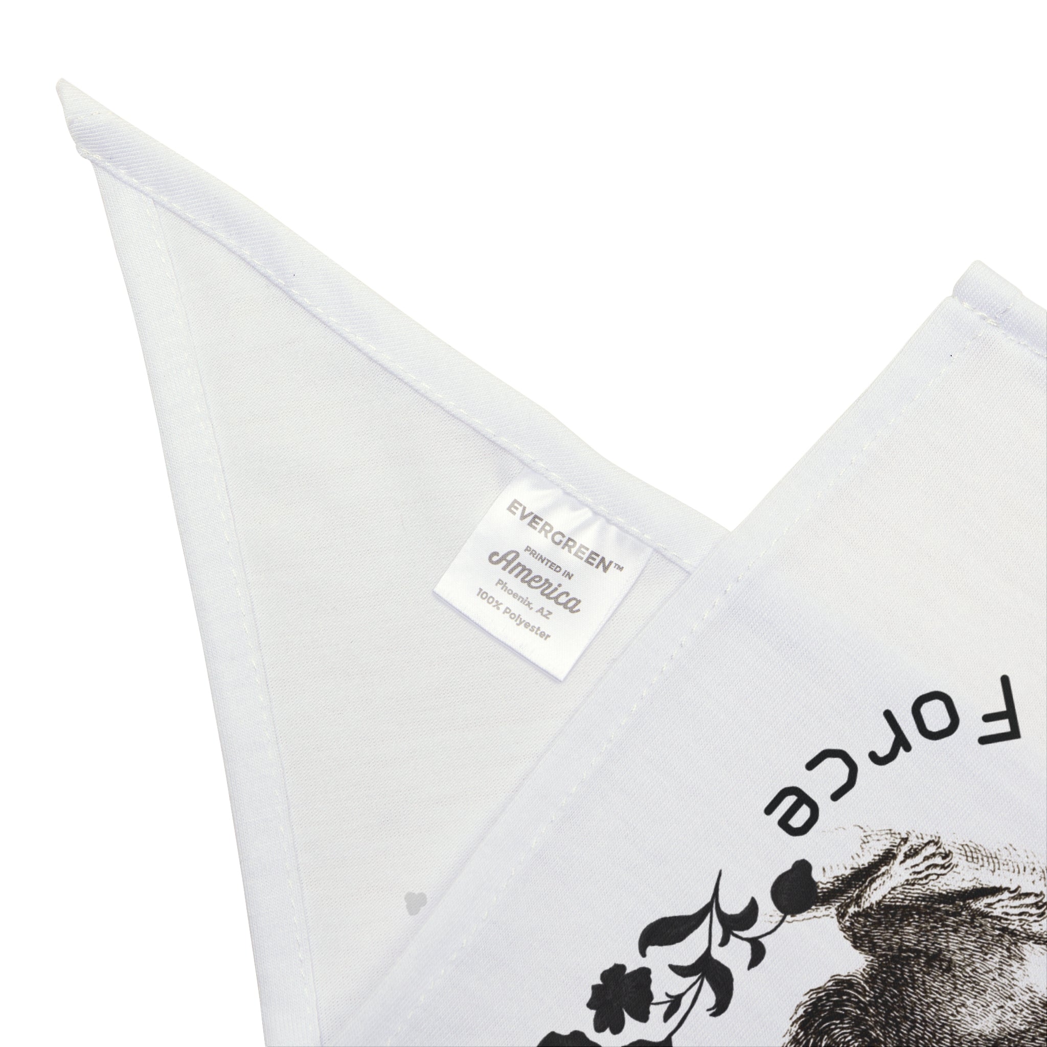 Anti-Squirrel Task Force