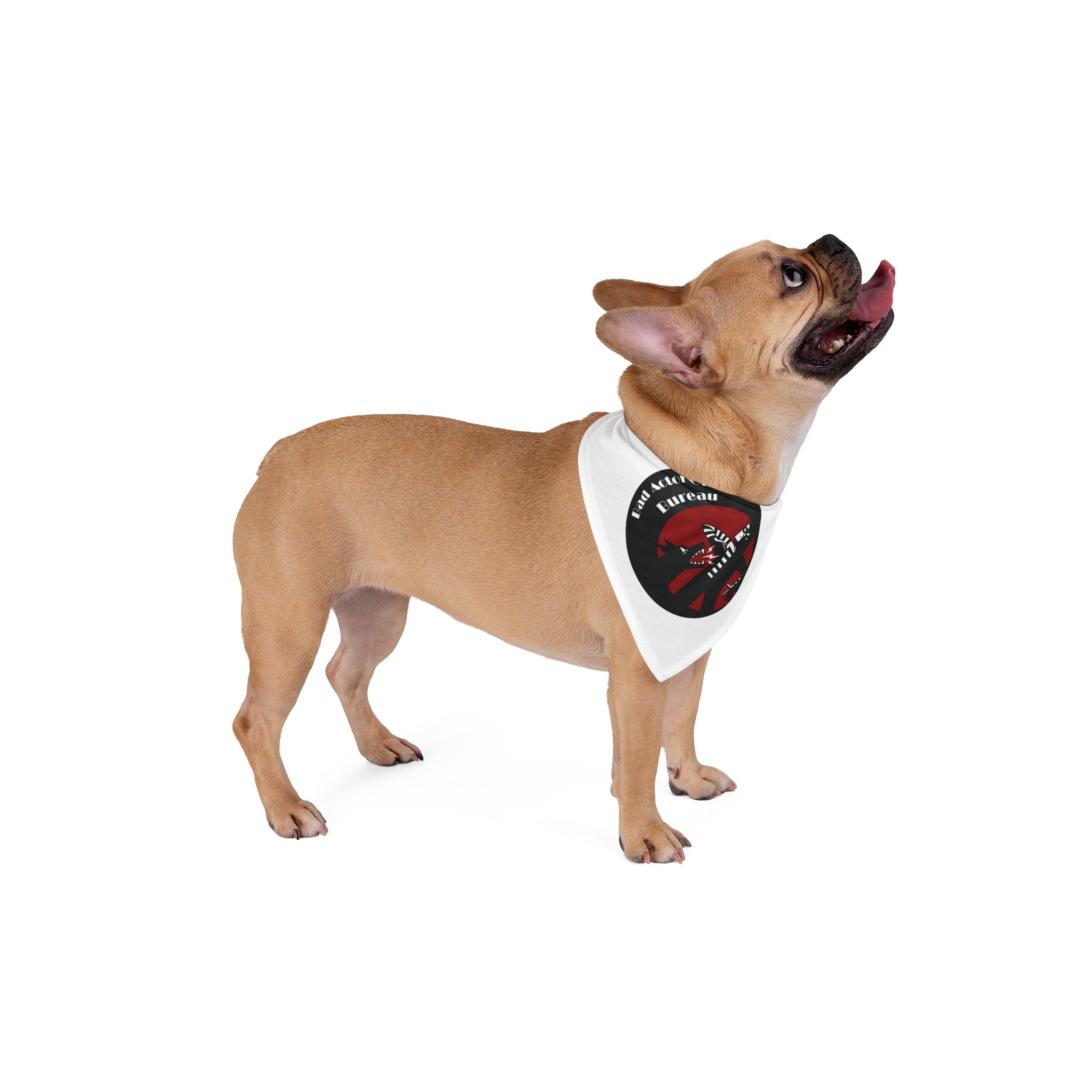 BAB - home defense agency