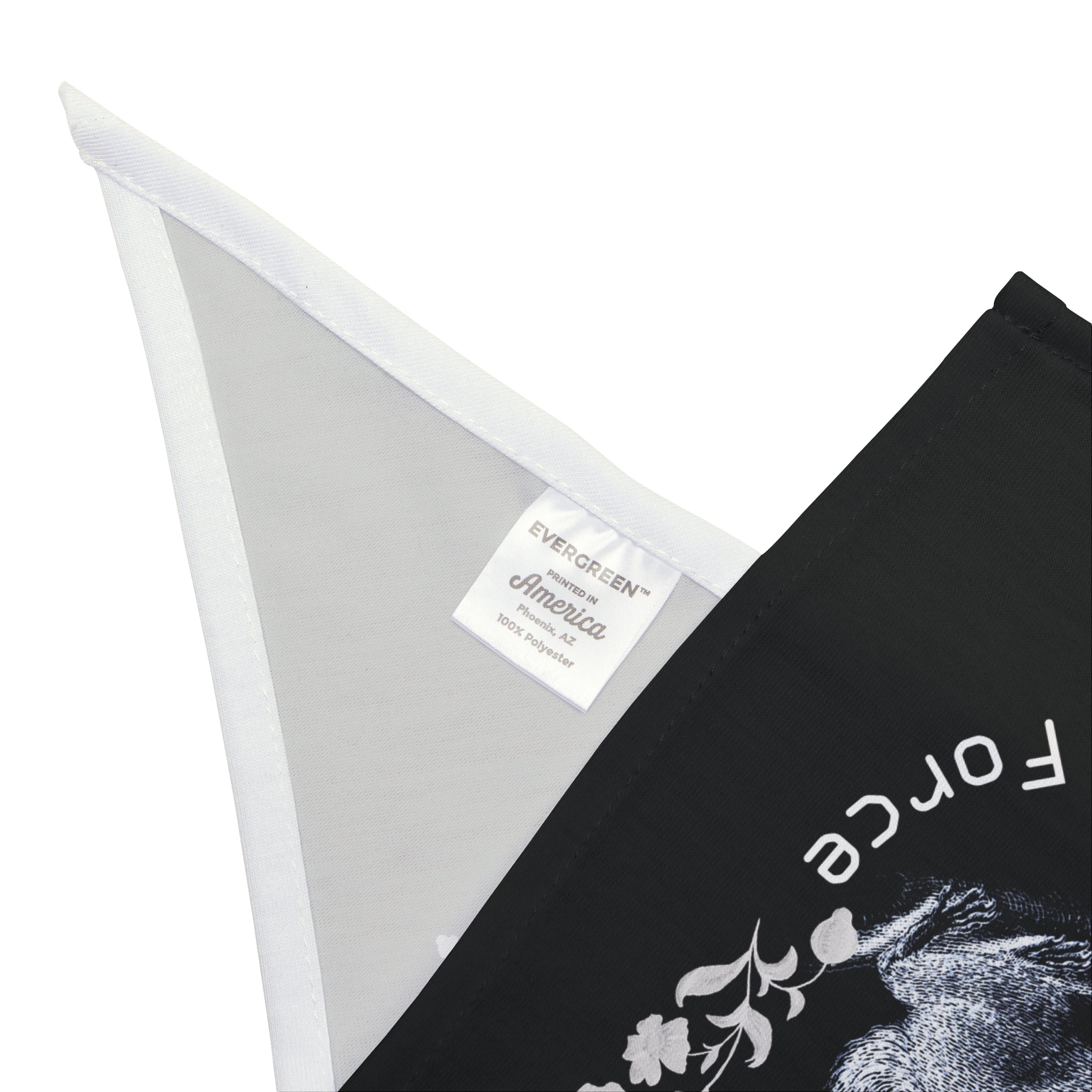 Anti-Squirrel Task Force